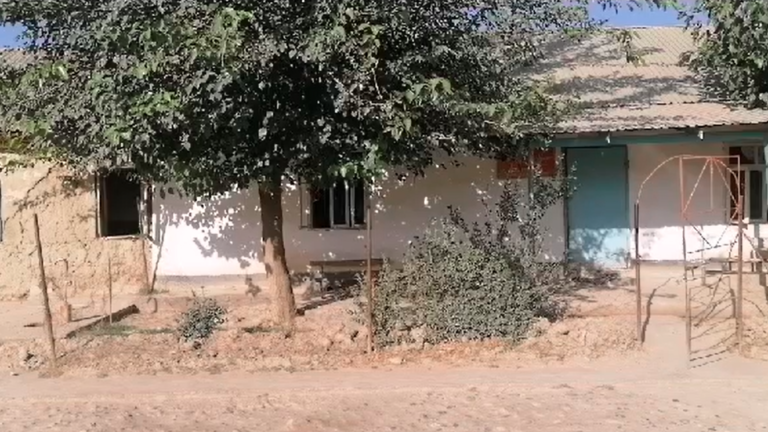 Қадри говҳои Оила аз одамон болотар аст?