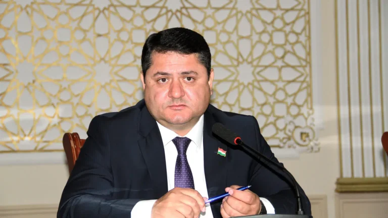 Вазифаи нави ҷияни Эмомалӣ Раҳмон