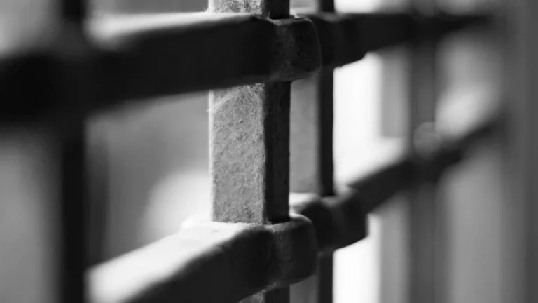 Як зодаи Тоҷикитсон бо иттиҳоми узвият дар ДИИШ 5,5 сол зиндонӣ шуд